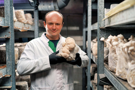 A doctor holding a bunch of lions mane mushrooms  ready to be compressed into capsules for shipping to help peoplw with well being